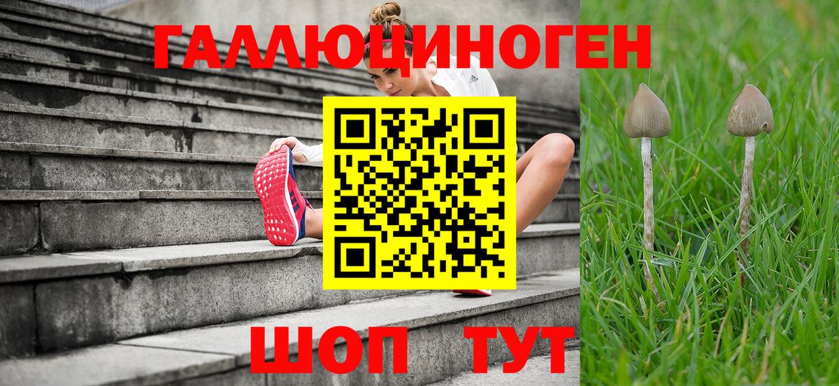 Псилоцибиновые грибы MAGIC MUSHROOMS Пушкино