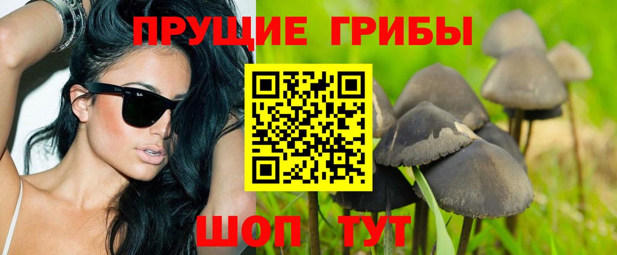 Галлюциногенные грибы прущие грибы  Галлюциногенные грибы GOLDEN TEACHER  Вход с VPN  купить наркотик  Пушкино 