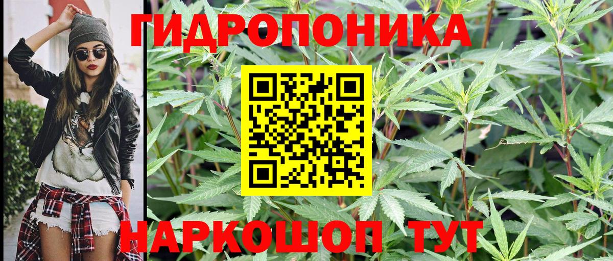 Канабис гибрид Пушкино